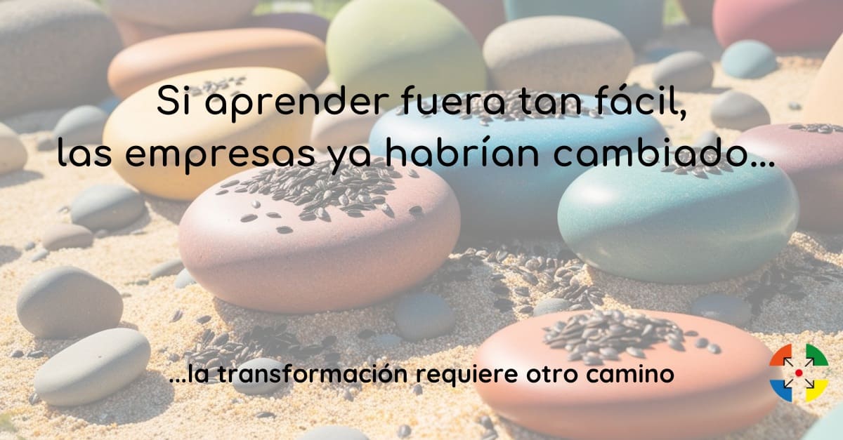 Capacitación o aprendizaje